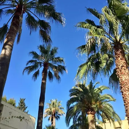 Appartement Charmant Avec Piscine Et A 300m De La Mer
